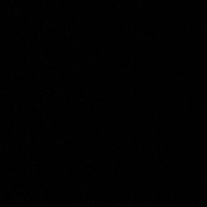 Meet your Posher, Payton